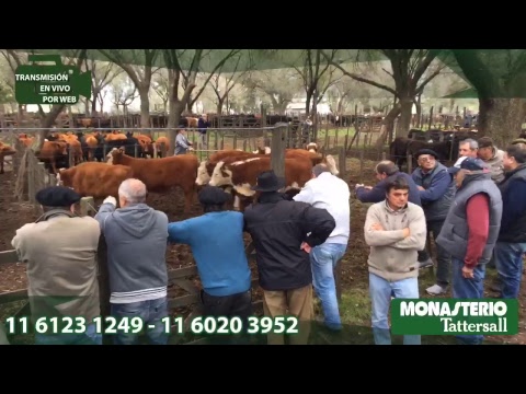 Daireaux - Buenos Aires - Monasterio Tattersall