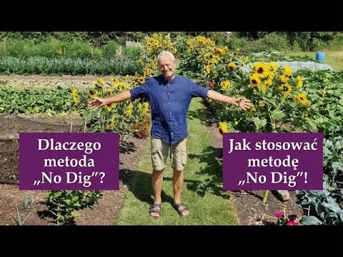 Uprawa bez przekopywania – lepsza gleba, mniej chwastów, większe plony