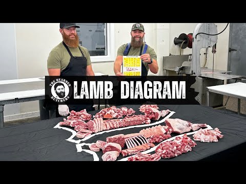 A Visual Guide to the Cuts of a Lamb: Where Every Lamb Cut Comes From | By The Bearded Butchers