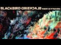 Blackbird Blackbird - There Is Nowhere (Lyric ...