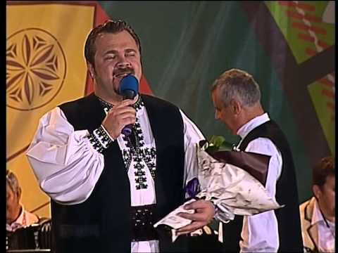 Ionut Fulea - Cantec de catanie