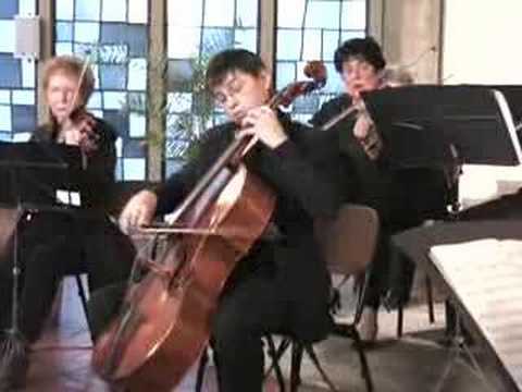 Haydn Cello Concerto C-Dur, 1