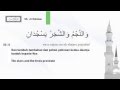 Surah 55 Ar-Rahman - The Beneficent - Mishary ...