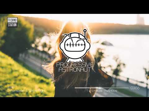 PREMIERE D-Formation & Steve Slight - AUREI (Original Mix) [T U S H music]