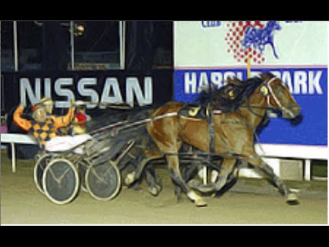 Harness Racing,Harold Park-11/03/1994 Inter-Dominion Grand Final (Weona Warrior-B.P.Hancock)