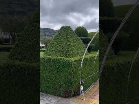 El parque de mi tierra provincia de Imbabura Pimampiro 🇪🇨