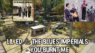 Watch Dogs Soundtrack:Lil Ed &amp; The Blues Imperials - "You Burnt Me"