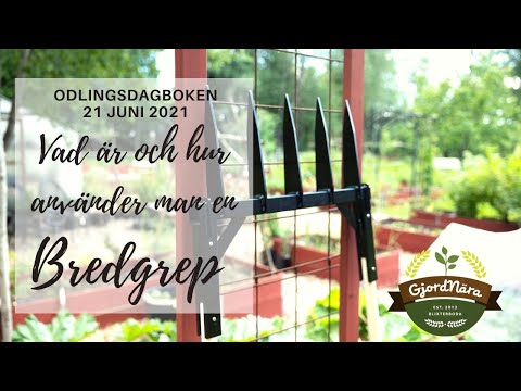 Vad är och hur använder man en bredgrep - odlingsdagboken 21 Juli 2021