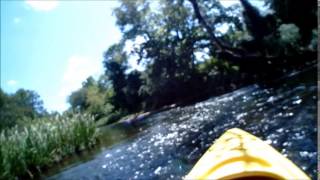 preview picture of video 'Paul and Charlie Kayak th Nuese River, Raleigh NC'