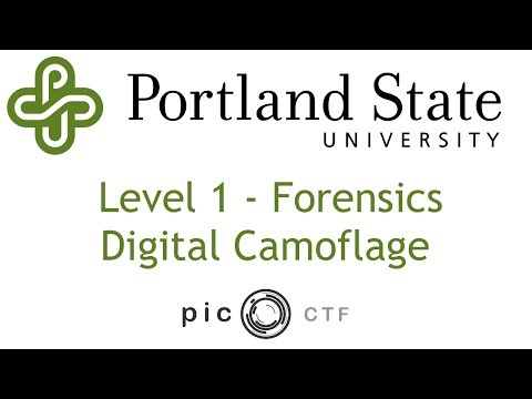 PicoCTF 2017 - Digital Camoflage Walkthrough