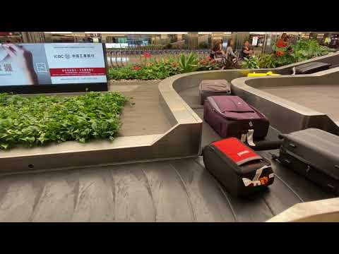 Watching This Baggage Claim Carousel At The Changi Airport In Singapore Is Deeply Satisfying