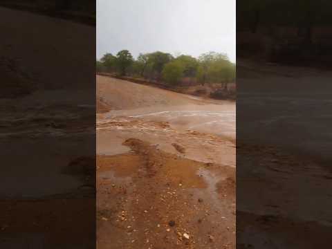 RIO COM CHEIA EM CARNAUBEIRA DA PENHA/PE #nordeste #chuvasnonordeste #interior