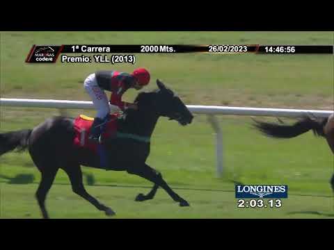 230226 c01 LUNA OLVIDADA