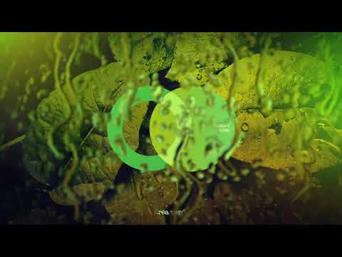 Subgate - Sierra (Original Mix) // AVE016