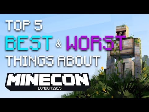 Top 5 Best & Worst Things About Minecon - Facecam VLOG