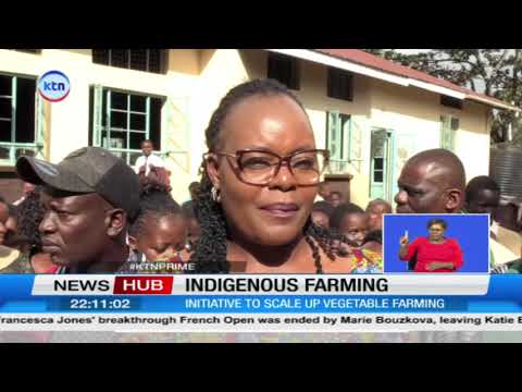 New programme promotes indigenous vegetables farming in Trans Nzoia