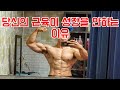 6년째 똑같은 운동만하면서 근육성장을 할 수 있었던 비결(+오늘의 가슴루틴)