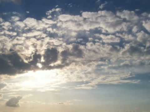 Schiller - Jahresringe