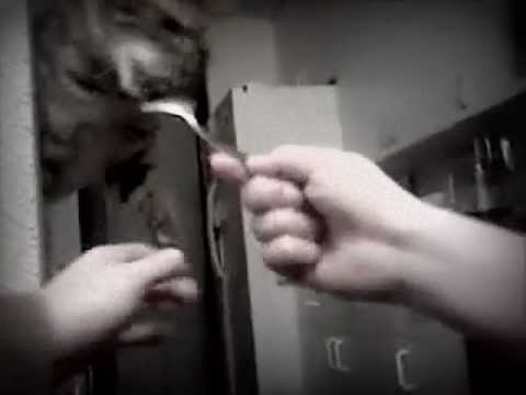 Daniil (Daniel) Shafran - Chopin Nocturne in Eb with Isis