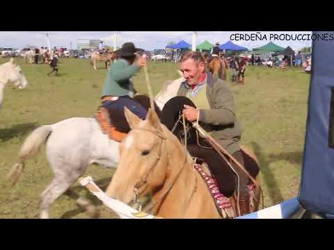 Local Grumen Mendoza 2024 Domingo