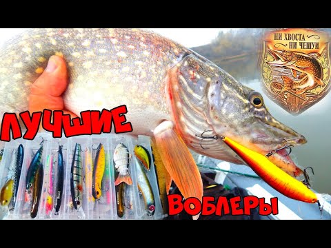 ТОП НА ЩУКУ!ЛУЧШИЕ ВОБЛЕРЫ И ПРИМАНКИ НА ЩУКУ!ВОБЛЕРЫ ДЛЯ НОВИЧКОВ,НЕДОРОГИЕ НО УЛОВИСТЫЕ ПРИМАНКИ 2