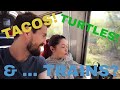 Travel Vlog: New Orleans and Memphis, Part 2 - "Tacos, Turtles and Trains"