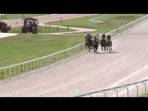 2021.06.13. 05. futam - PIGEON CATCHER HENDIKEP (IV.o.) (szintetikus pálya)