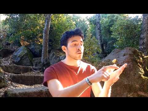 Four L's Method -  Giovanni Bortoluzzi - Overtone singing lessons