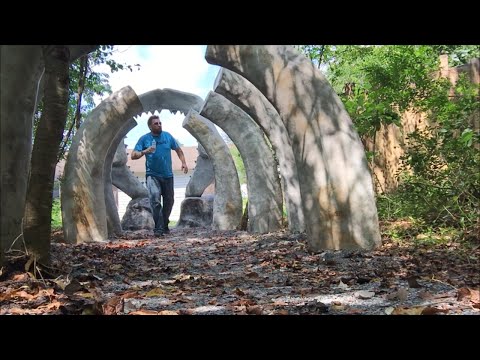 TDW 1498 - What Have I Wandered Into ?