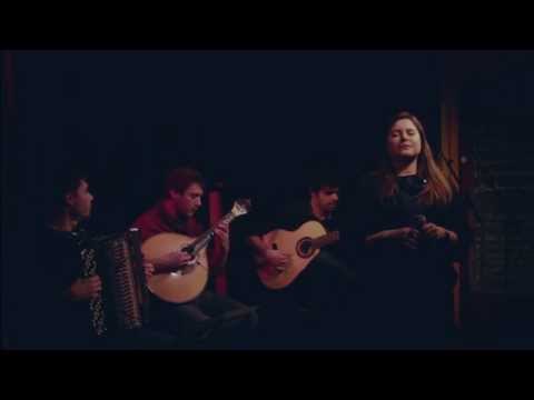 Mónica Cunha - "Ramo batido"