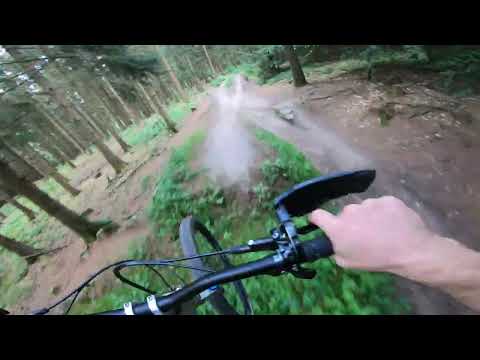 Ladies Only 2024 | Full Run | Deisterfreunde | Enduro | uncut