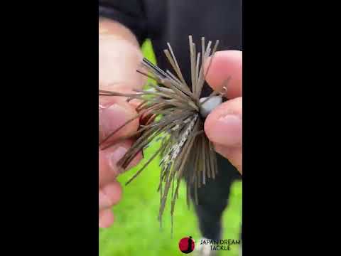 Evergreen Covercreeper + Dickbarsch