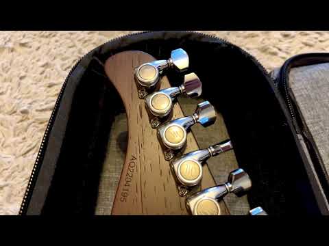 Mayones Aquila Elite 6 image 6