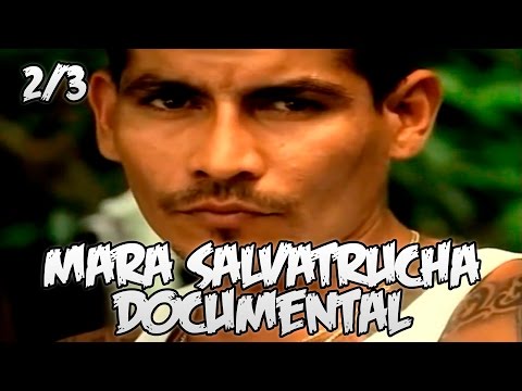 Mara Salvatrucha || Documental Español || 2/3