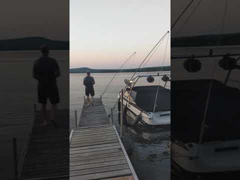 PROBOAT UL-19 STOCK 5S