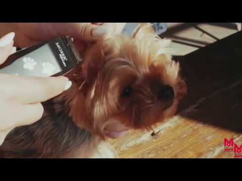 Миниатюра изображения товара Машинка для стрижки шерсти Moser Rex mini 1411-0060 / 1411-0062