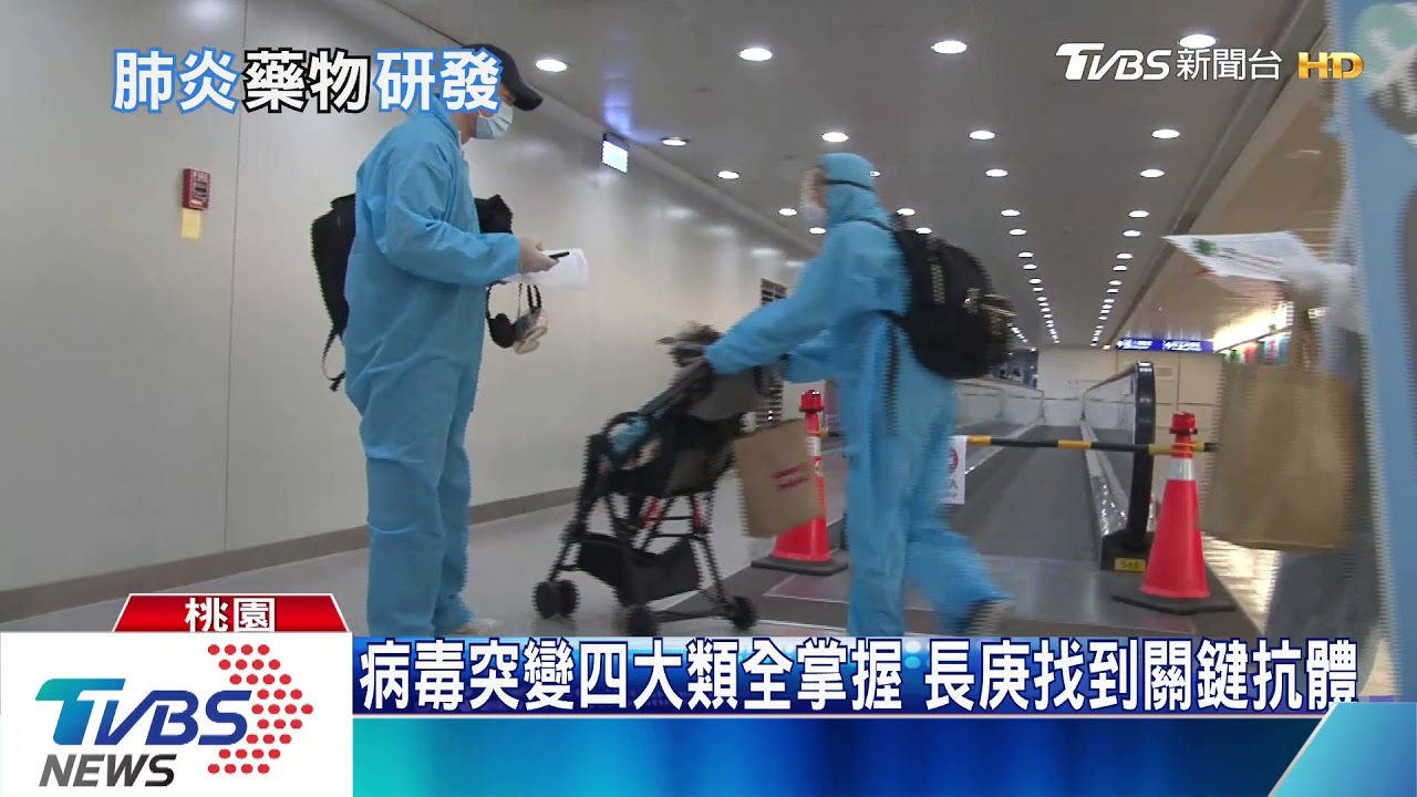 網友常搜尋「這兩個字」 國衛院研究:確診相對少