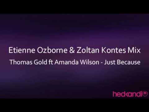 Thomas Gold ft Amanda Wilson - Just Because (Etienne Ozborne & Zoltan Kontes Mix)
