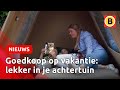 Zo kun je toch met zomervakantie | Omroep Brabant