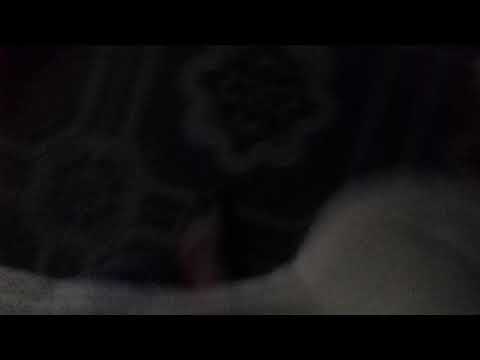 download lagu mp3 mp4 Nsnzj, download lagu Nsnzj gratis, unduh video klip Nsnzj