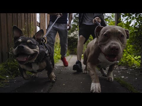 Kenzy - Trouble (Official Music Video)