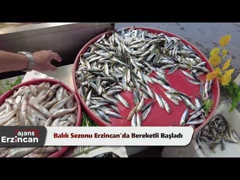 Balık Sezonu Erzincan’da Bereketli Başladı