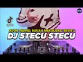 DJ STECU STECU SETELAN CUEK BARU MALU REMIX FULL BASS VIRAL TIKTOK TERBARU 2025