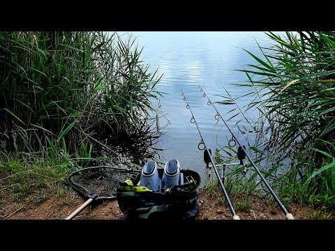 KARPIE Z TRUDNEJ ŻWIROWNI #5