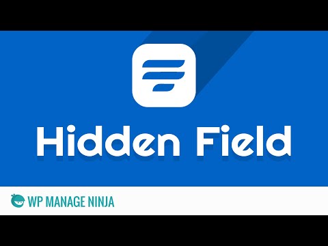 Hidden Input Field