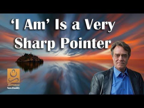 'I Am' Is a Very Sharp Pointer - Non duality with Terrence
