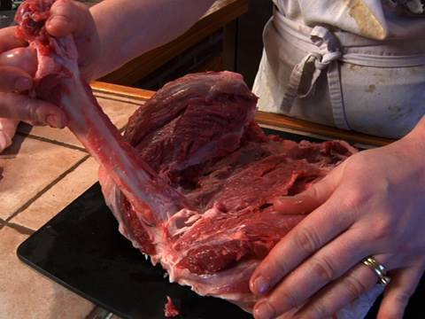 download lagu mp3 mp4 Julie Powell Artist, download lagu Julie Powell Artist gratis, unduh video klip Julie Powell Artist