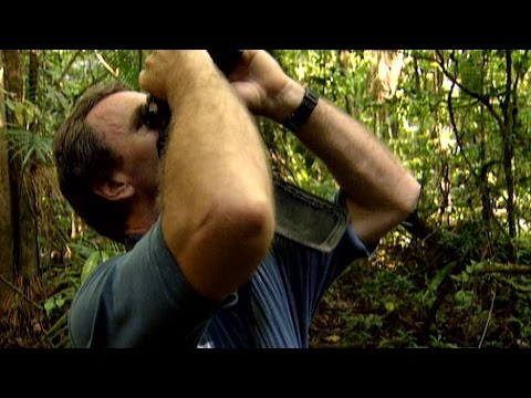 Schulfilm: 360° - die GEO-Reportage - Die Spurensucher (Schulfilm-Vorschau)