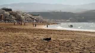 preview picture of video 'Short Love at Las Palmas Beach in Gran Canaria'