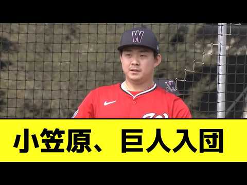 小笠原慎之介さん、巨人入団wwwwwwwwwwwww【なんJ反応】